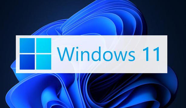 如何关闭win11更新命令-关闭Win11更新命令