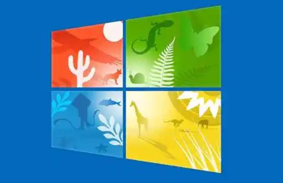 win10无法开机按f8没用-win10无法开机按f8没用